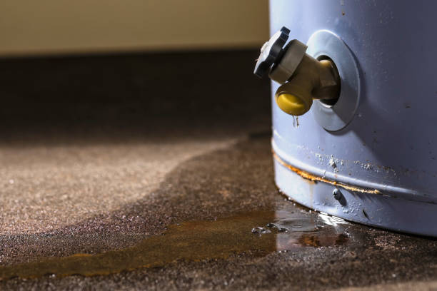 Best Commercial water damage restoration  in Greenwich, OH