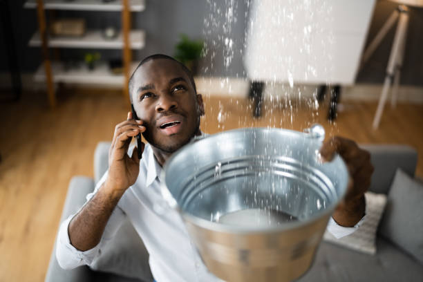 Best Water damage restoration process  in Greenwich, OH