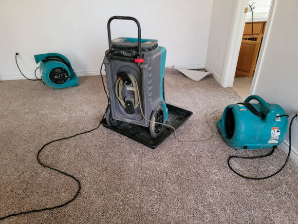 Best Water damage cleanup near me  in Greenwich, OH
