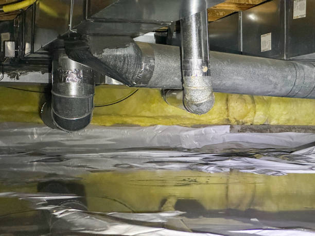 Best Sewage cleanup and water damage restoration  in Greenwich, OH