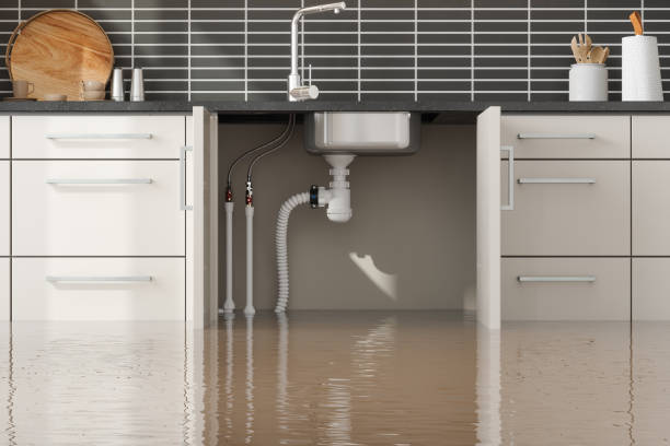 Best Commercial water damage restoration  in Greenwich, OH
