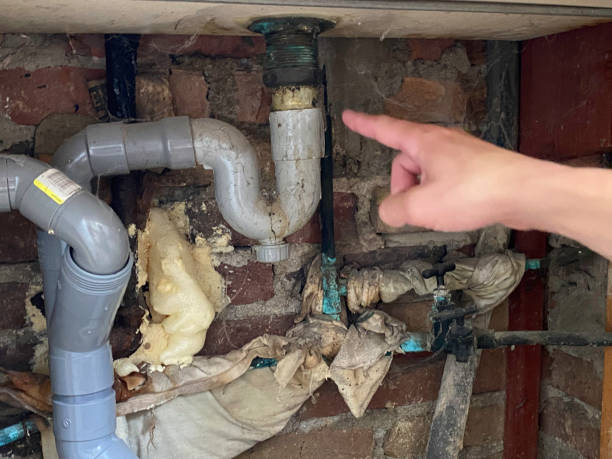 Best Residential water damage restoration  in Greenwich, OH