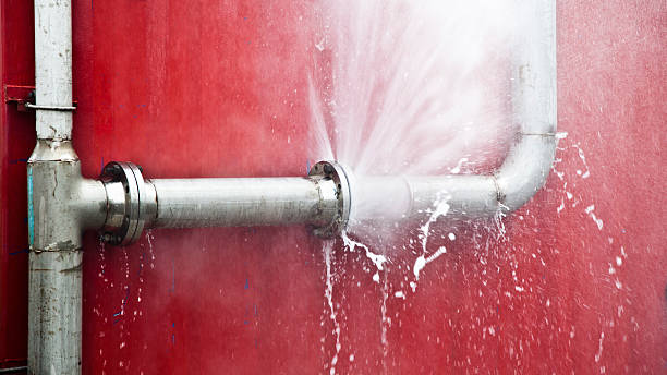 Best Carpet water damage restoration  in Greenwich, OH
